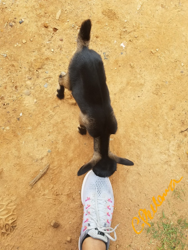 a kid nibbing at my shoe in Nghar village_LI